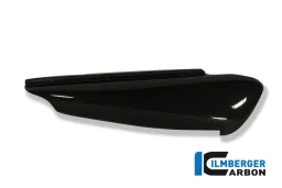 Panneau latéral droite Carbone - Ducati Monster 900